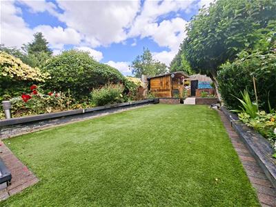 Picture 20